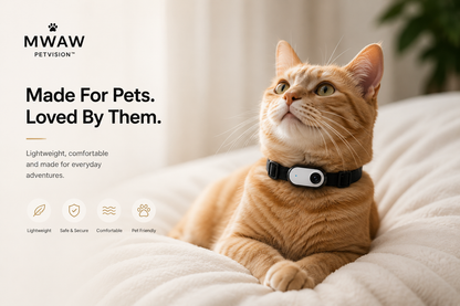 PetVision| Smart Pet Camera
