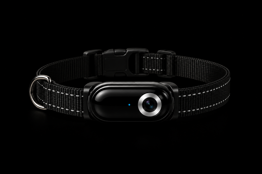 PetVision| Smart Pet Camera